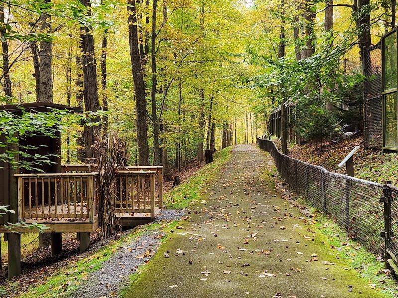 The Old Oak Trail for Extra Hiking