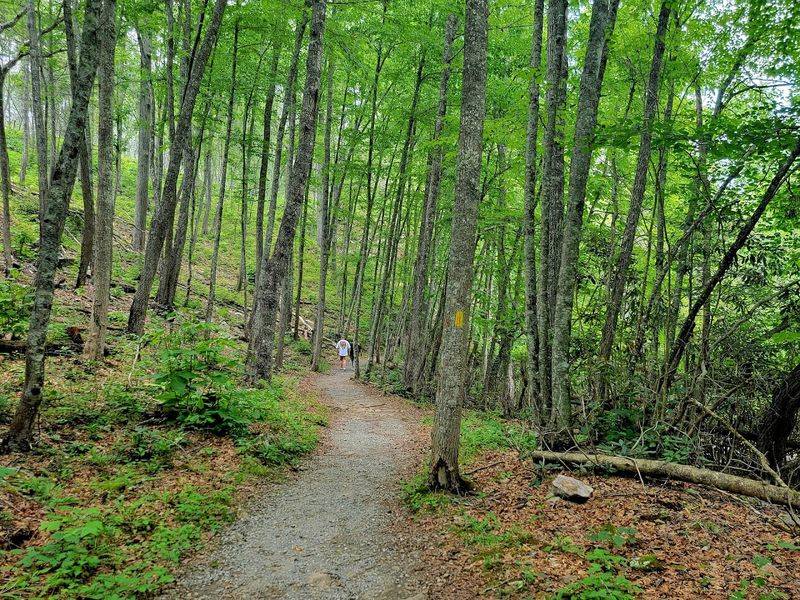 The Old Railroad Bed That Became a Trail Worth Every Step The Old Railroad Bed That Became a Trail Worth Every Step