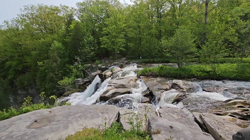 The Onondaga Formation and What It Tells Us About an Ancient Sea