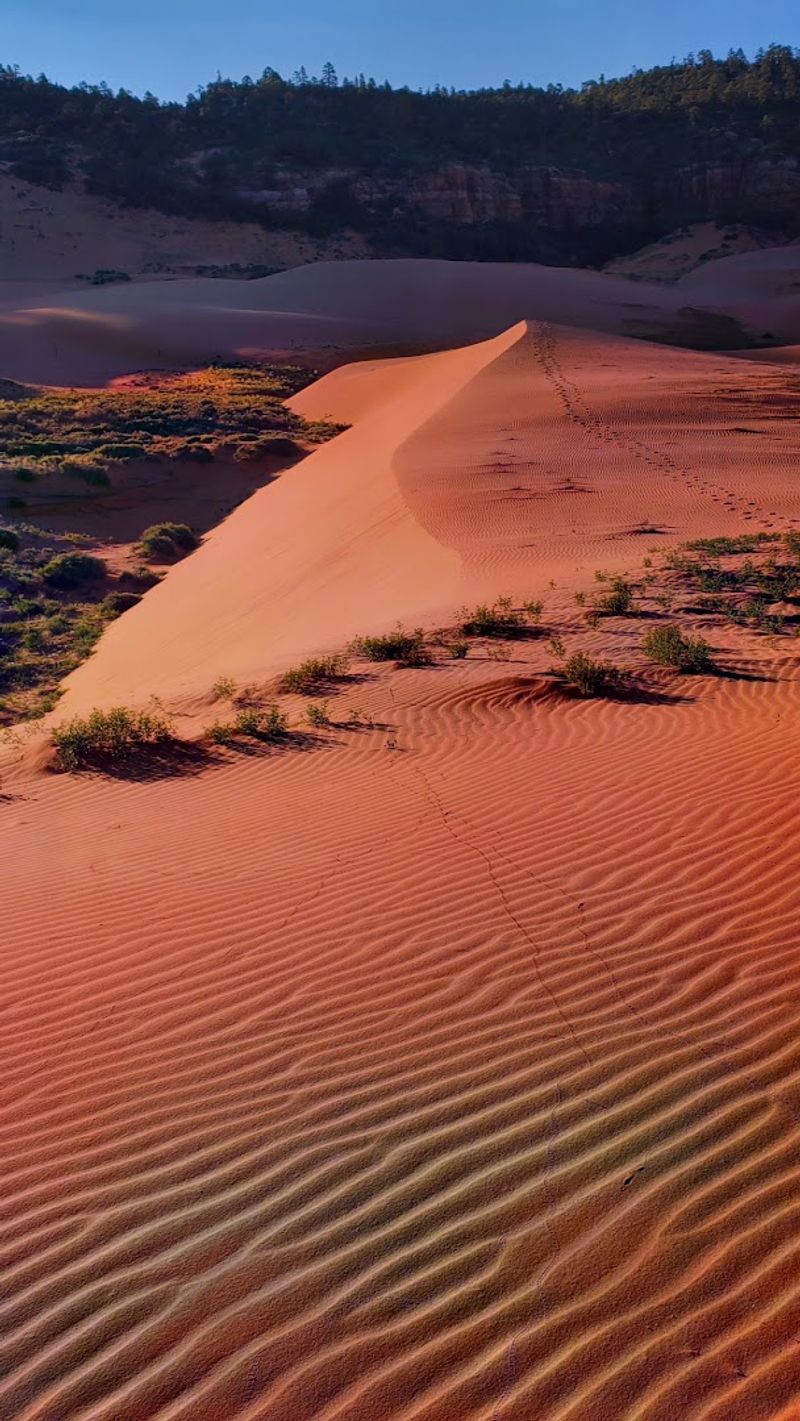 The Otherworldly Color That Makes This Park Impossible to Forget