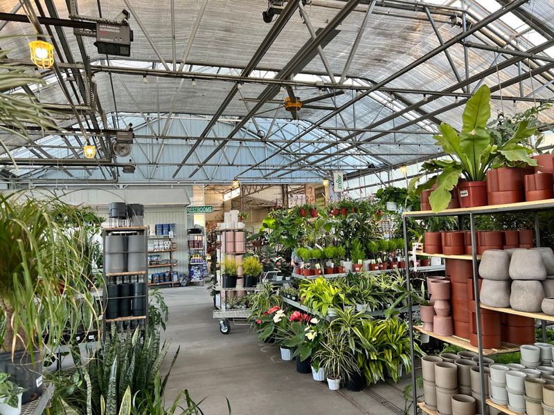 The Outdoor Growing Operation Adds Another Layer of Wow
