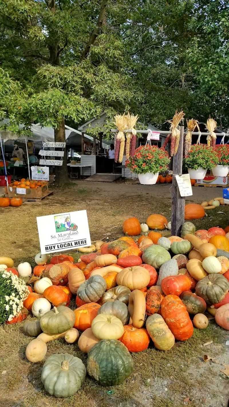 The Outdoor Vendor Spaces and Indoor Market Building