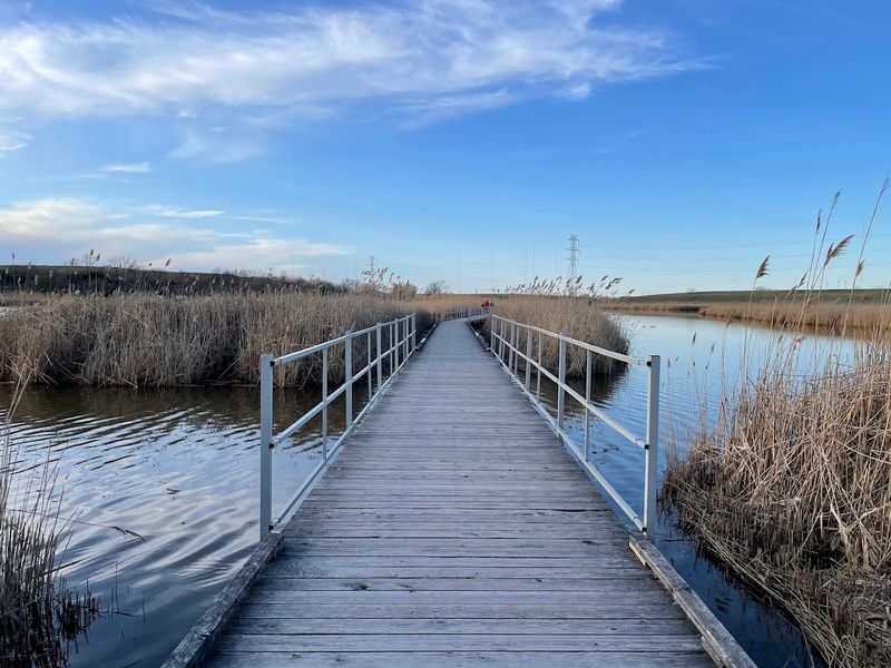 The Overlook Trail, Richard W. DeKorte Park
