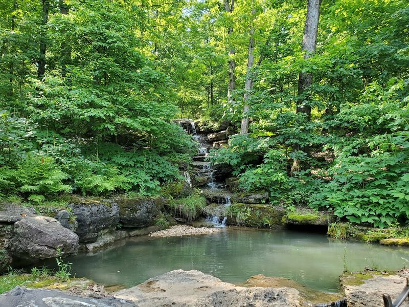 The Ozark Wilderness Setting and Wildlife The Ozark Wilderness Setting and Wildlife
