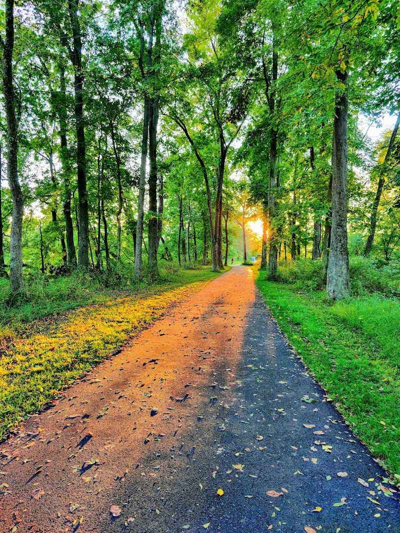 The Paved Loop Trail That Makes Every Step Feel Easy