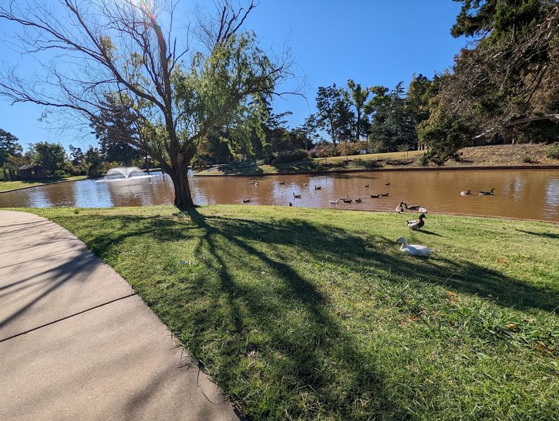 The Peaceful Lake and Surrounding Walking Trails