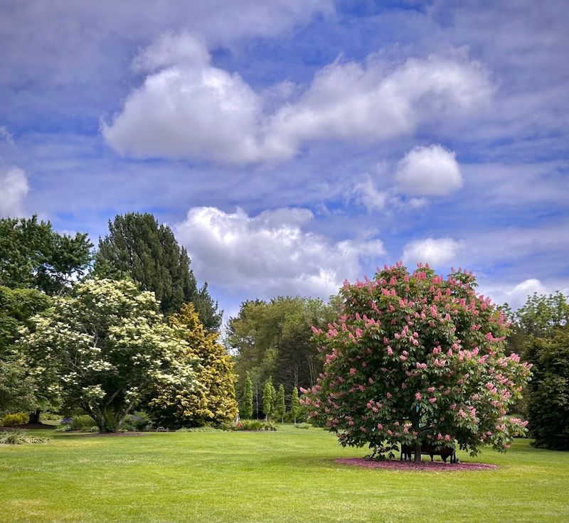 The Perennial Garden That Blooms From Spring Through Fall The Perennial Garden That Blooms From Spring Through Fall