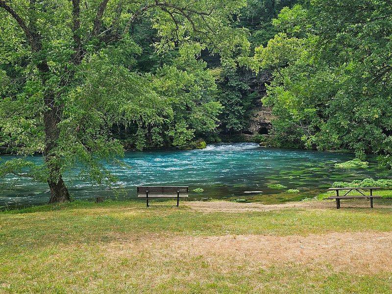 The Picnic Area and Family-Friendly Amenities