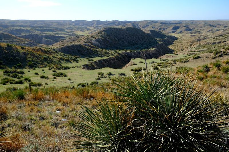 The Plants and Wildlife That Call This Place Home The Plants and Wildlife That Call This Place Home