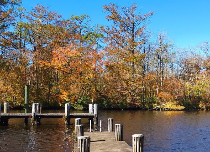 The Pocomoke River and the Joy of Going Slow on the Water