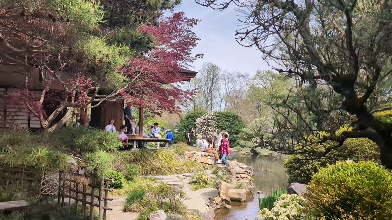 The Pond Pulls You In Without Trying