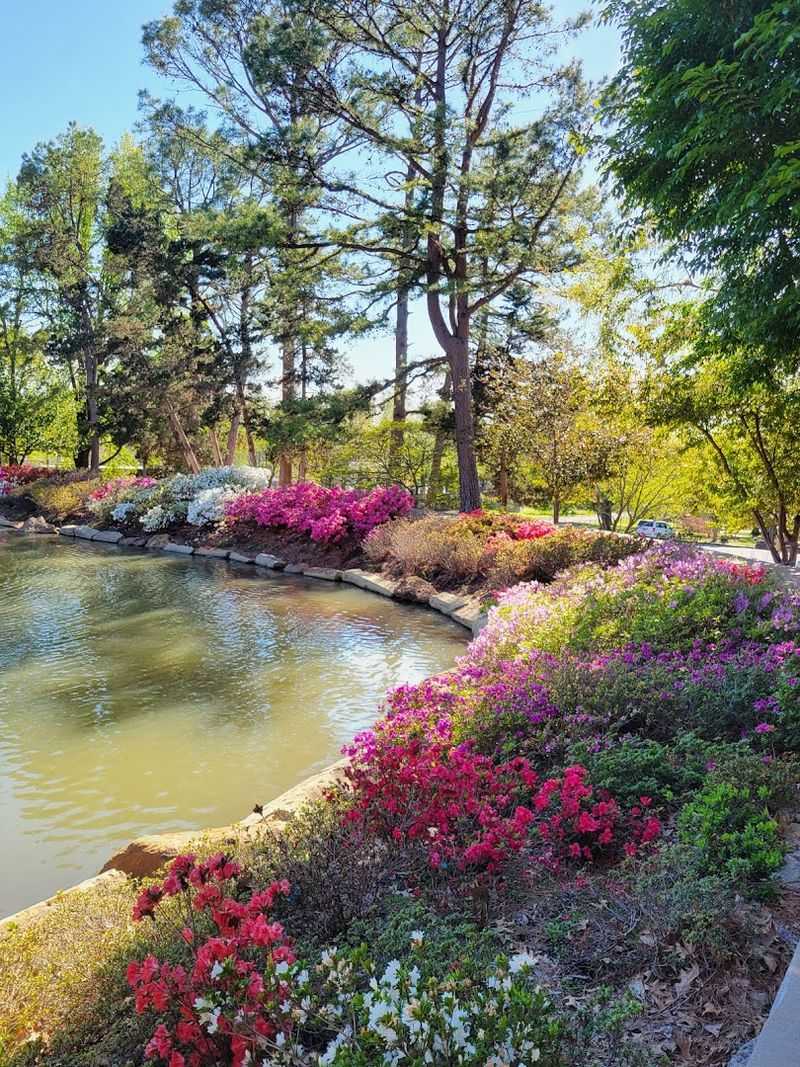 The Ponds and Water Features Add a Serene Layer to the Landscape