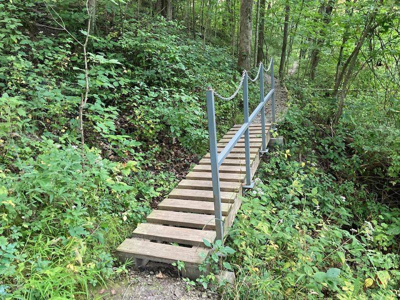 The Possum Hollow Trail and What It Reveals