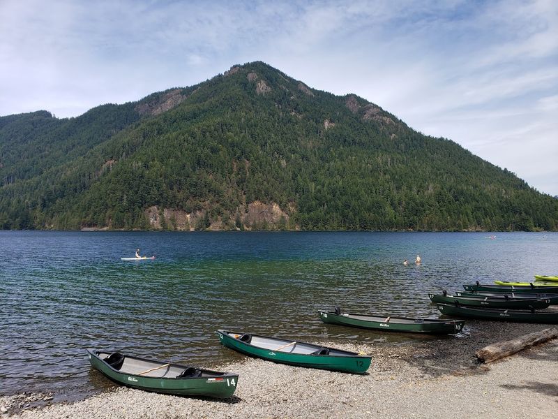 The RV Site and Camping Experience The RV Site and Camping Experience