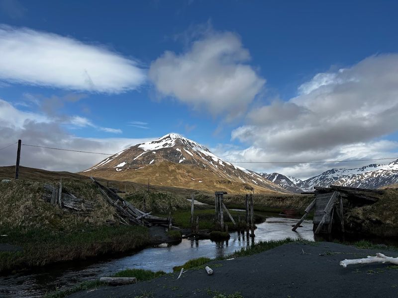The Raw, Treeless Landscape of Volcanic Tundra