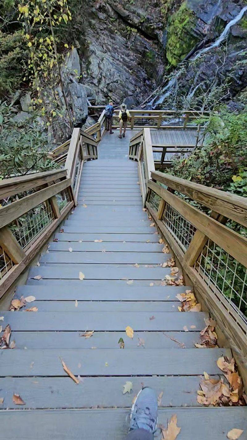 The Return Walk Is Part Of The Magic The Return Walk Is Part Of The Magic