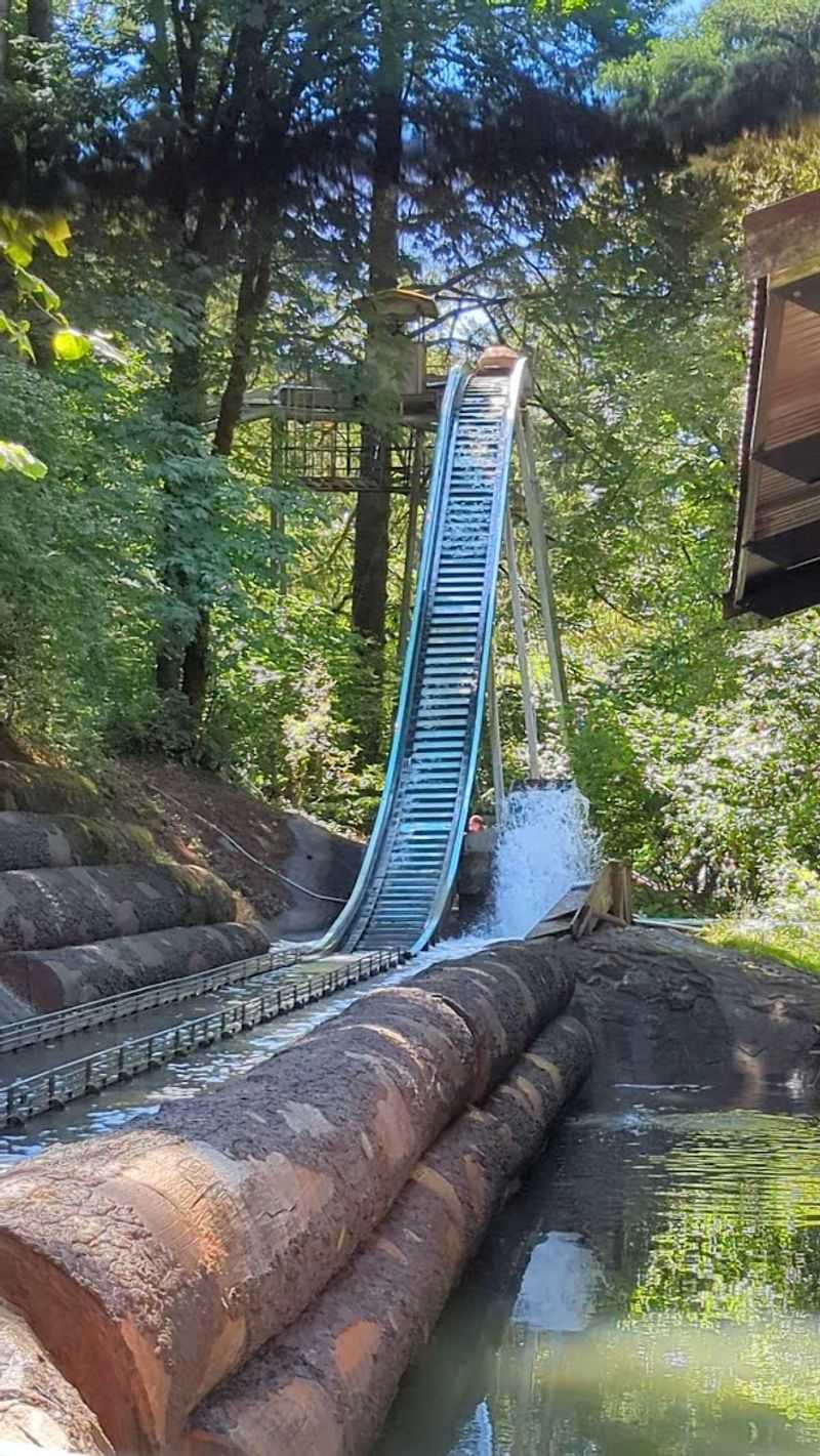 The Ride Experience From Start to Finish