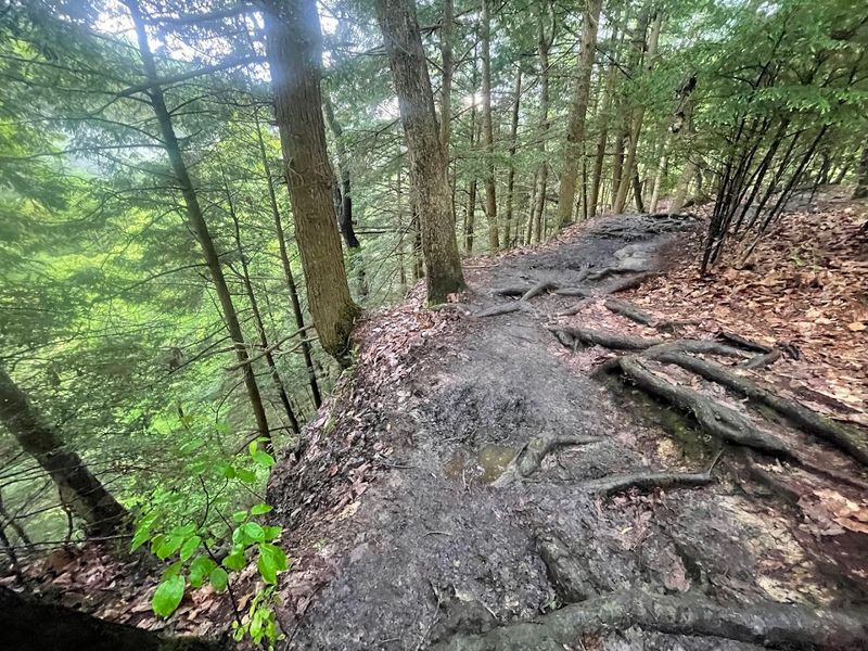 The Rim Trail: Where the Views Get Serious The Rim Trail: Where the Views Get Serious