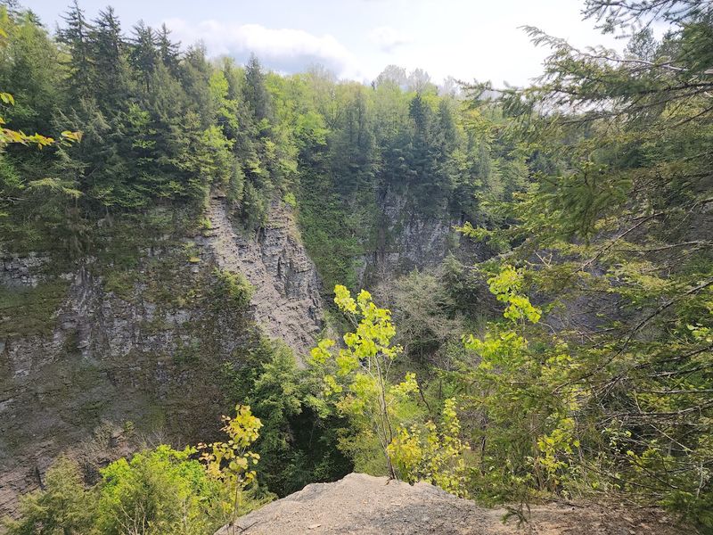The Rim Trails and What to Expect on Them The Rim Trails and What to Expect on Them