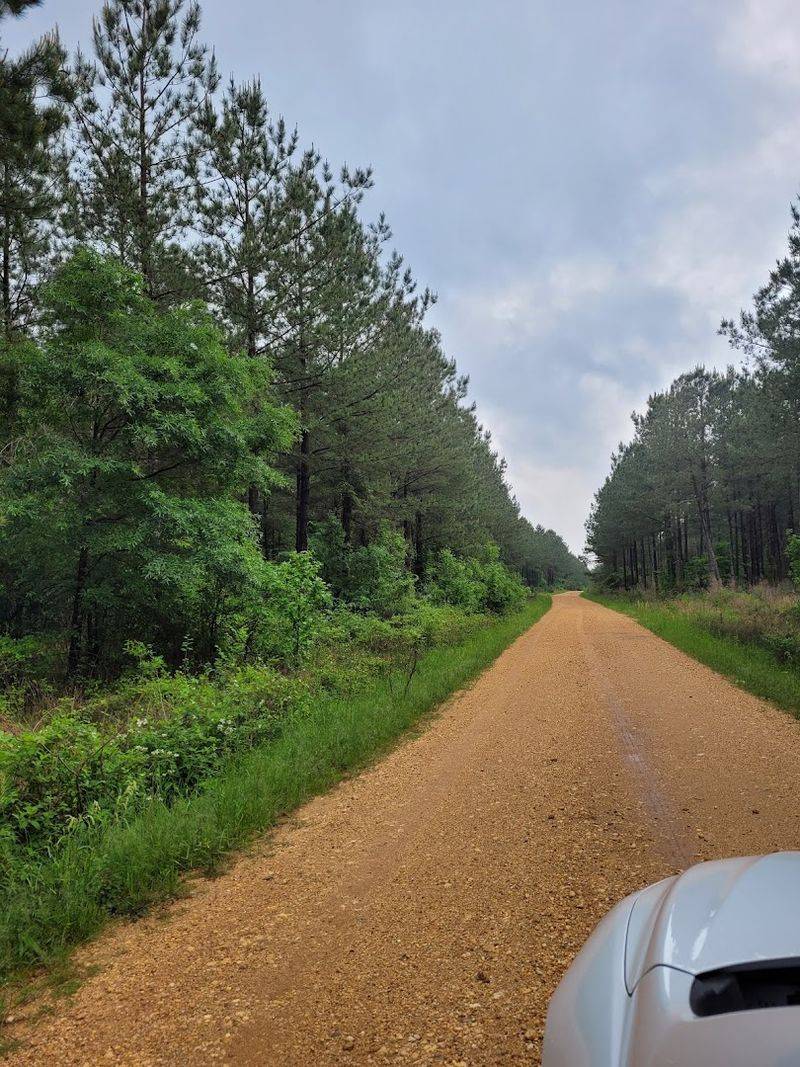 The Road Less Traveled to Little River The Road Less Traveled to Little River