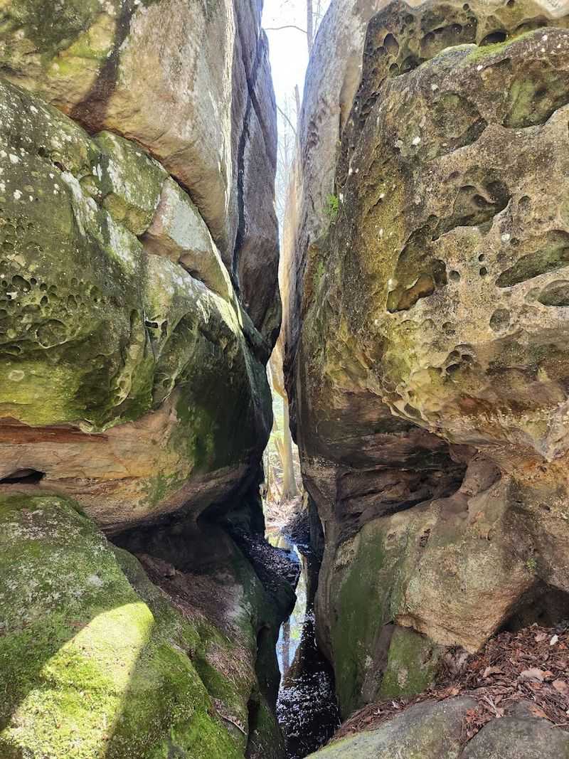 The Rock Passages Keep Everyone Curious The Rock Passages Keep Everyone Curious