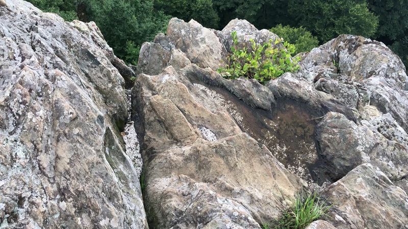 The Rocky Ledge Path That Rewards The Curious The Rocky Ledge Path That Rewards The Curious