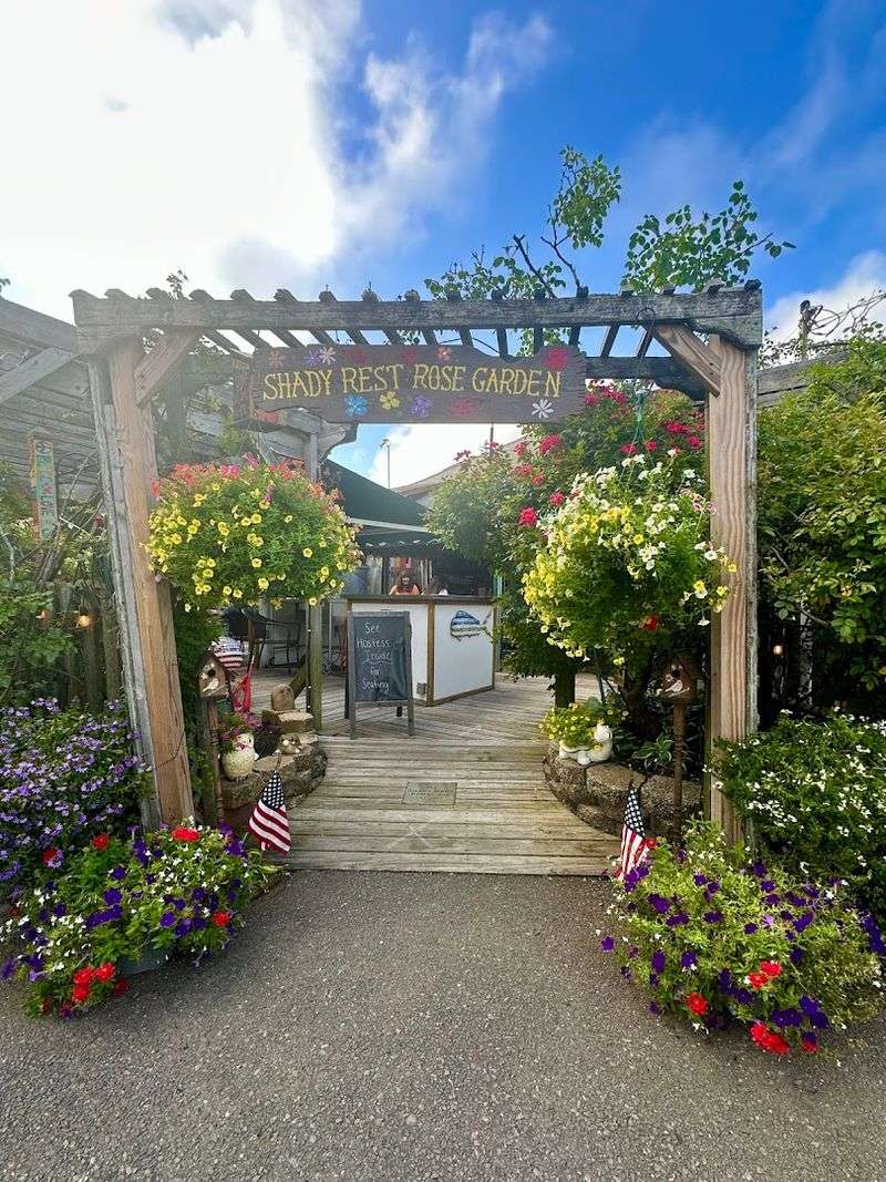 The Rose Garden That Changes Everything The Rose Garden That Changes Everything
