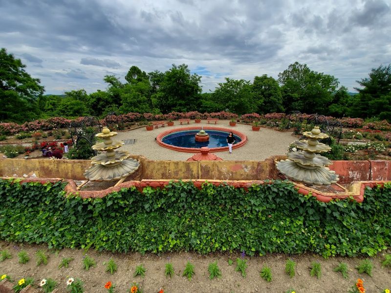 The Rose Gardens That Surround the Gold