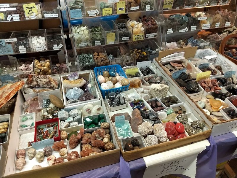 The Rows Where Treasure Hunting Takes Over