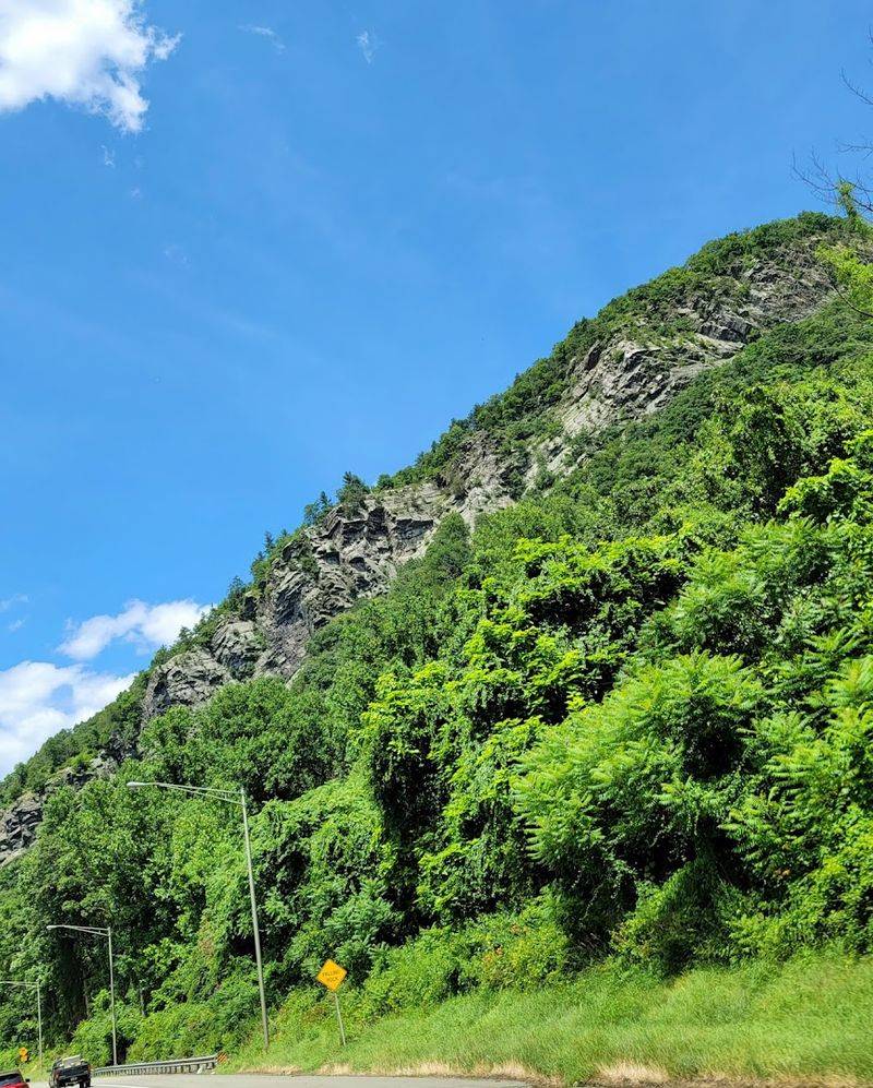 The Rugged Topography That Saved a River The Rugged Topography That Saved a River