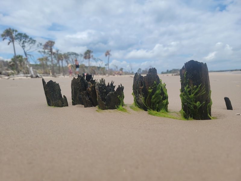 The Sand Here Tells a Different Story Than Most Florida Beaches The Sand Here Tells a Different Story Than Most Florida Beaches