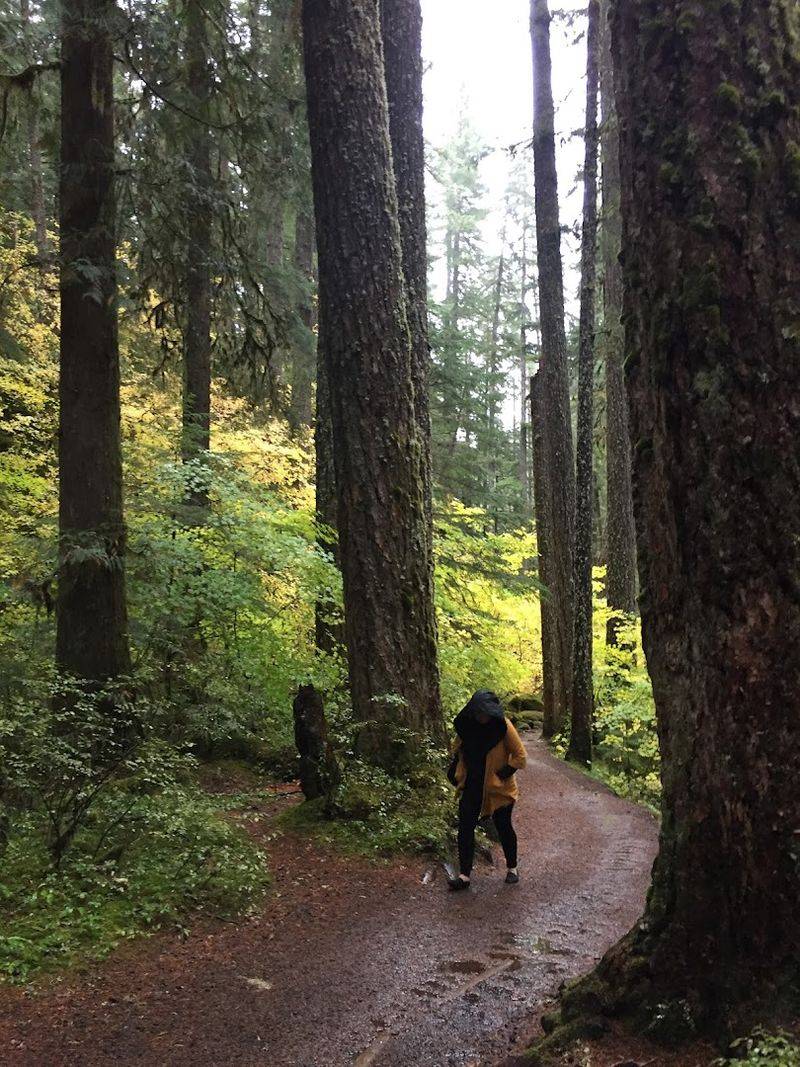 The Scenic 1.5-Mile Forest Hike To The Springs