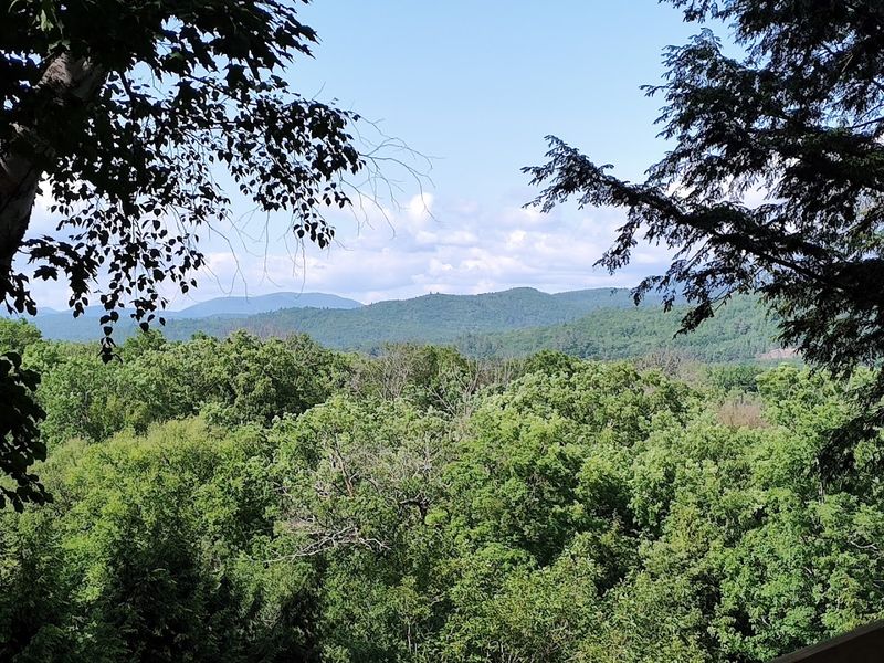The Scenic Drive to Campton Is Half the Adventure
