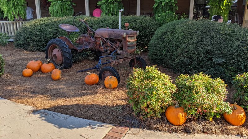 The Seasonal Farm Fun Keeps It Moving The Seasonal Farm Fun Keeps It Moving