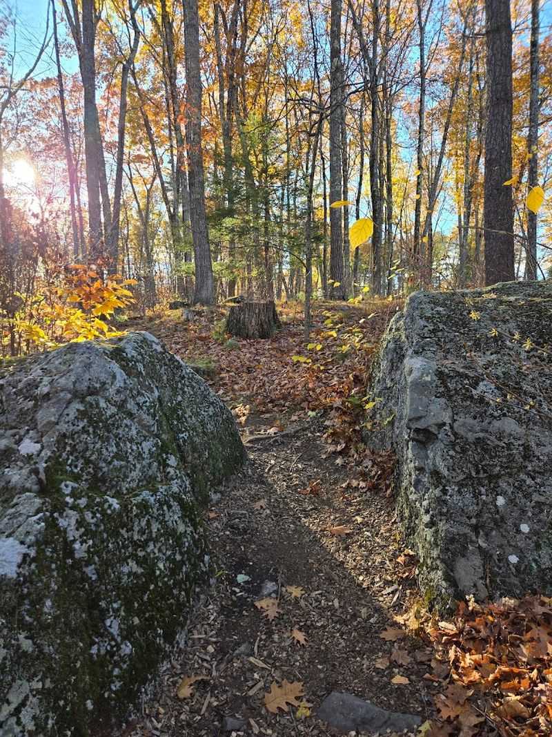 The Self-Guided Trail Experience