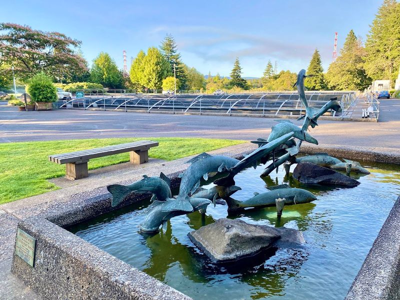 The Self-Guided Walking Tour Along Fish Print Paths