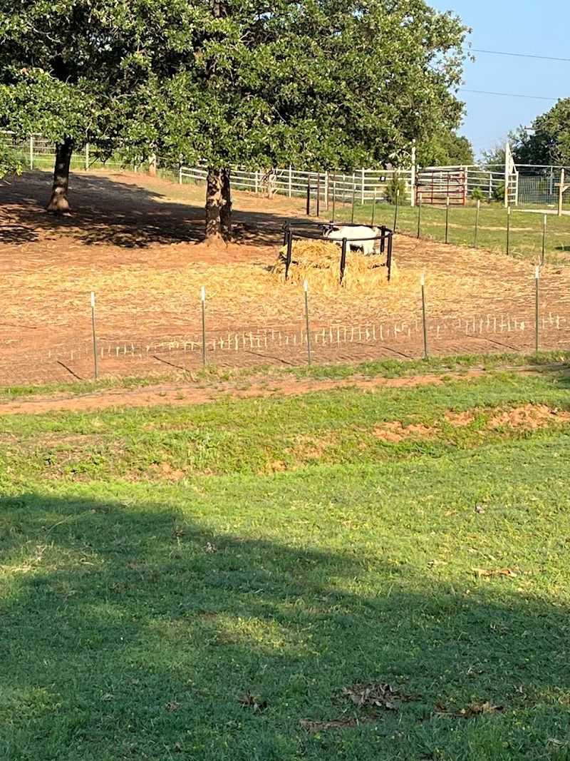 The Setting and Landscape Around the Sanctuary