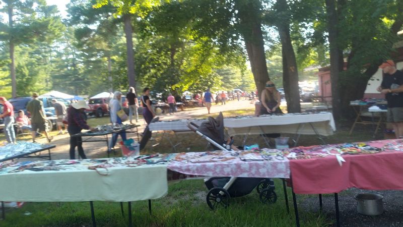 The Shady Tree Canopy That Makes Summer Browsing a Pleasure