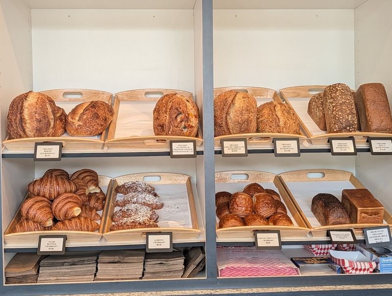 The Slow Fermentation Process Behind Every Loaf