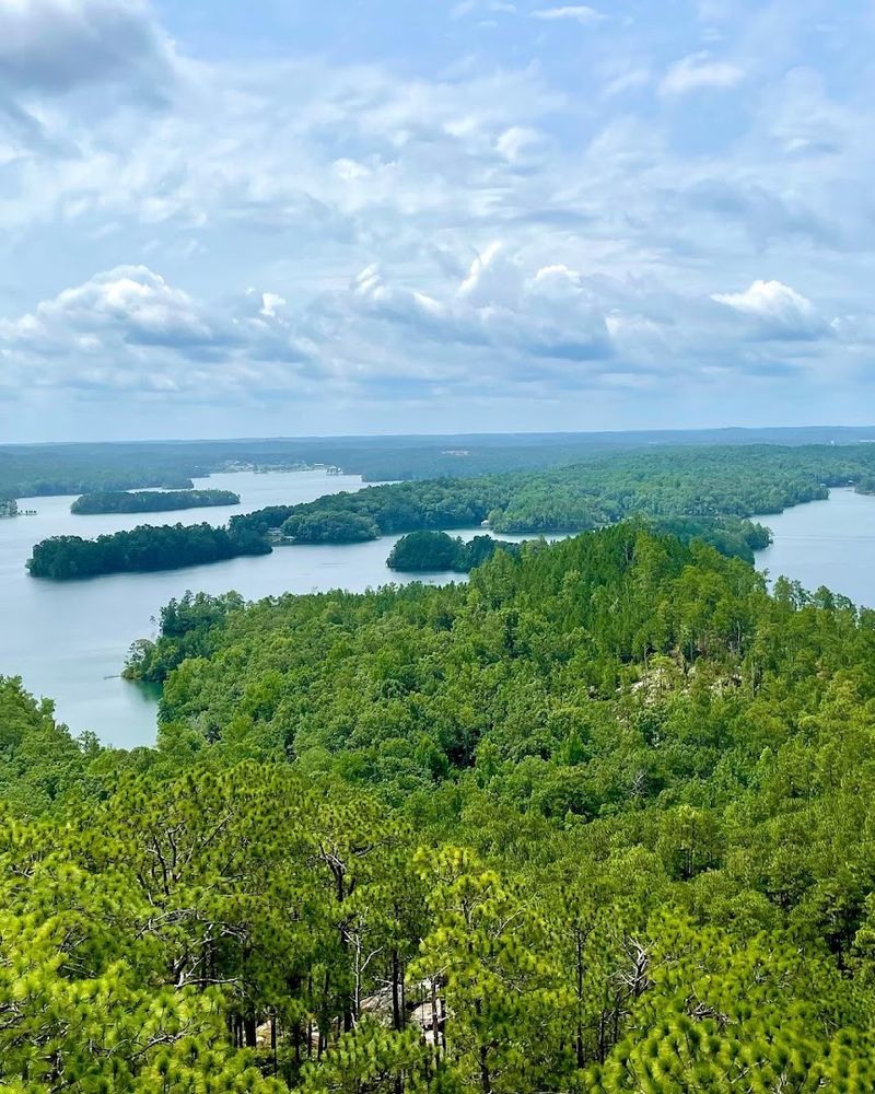 The Smith Mountain Fire Tower and Panoramic Lake Views
