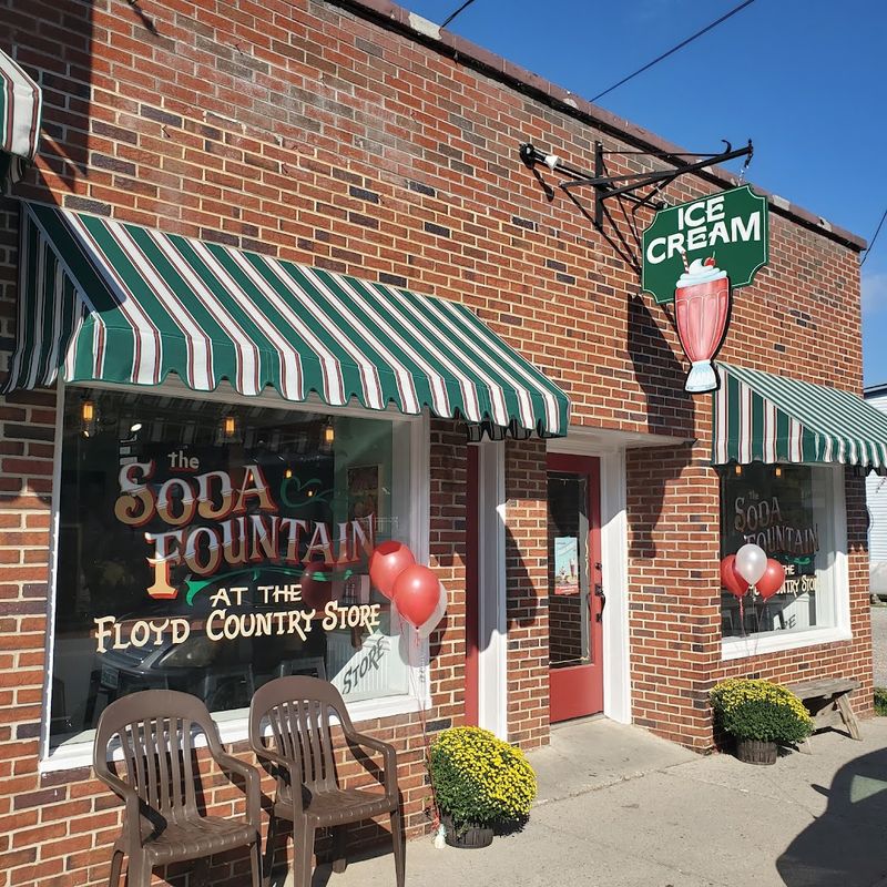 The Soda Fountain at the Floyd Country Store (Floyd)