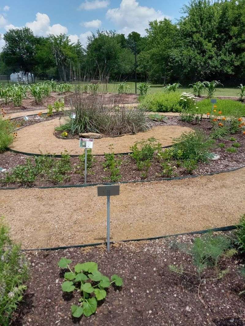 The Spiral Garden Growing Food Right Outside