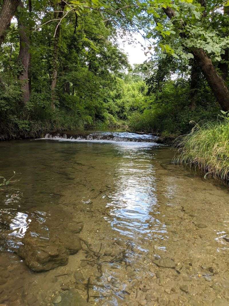 The Spring-Fed Magic Behind the Crystal Water