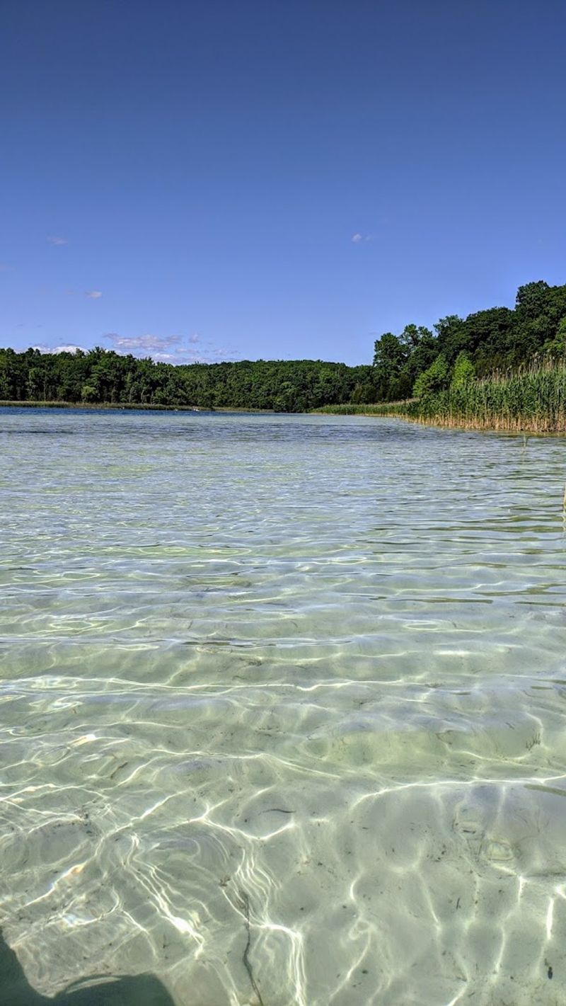 The Spring-Fed Secret Behind the Crystal Clarity