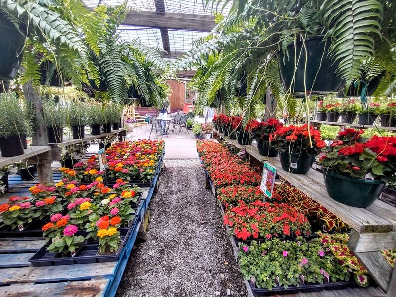 The Spring Season Opening That Feels Like a Holiday