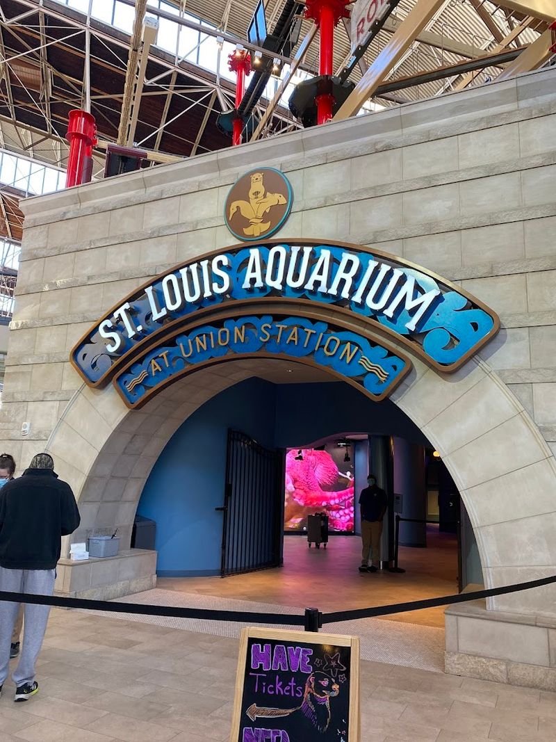 The St. Louis Aquarium at Union Station