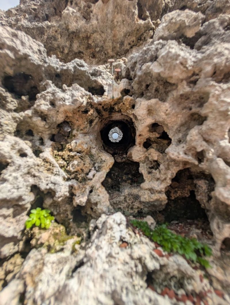 The Stone Somehow Feels Alive