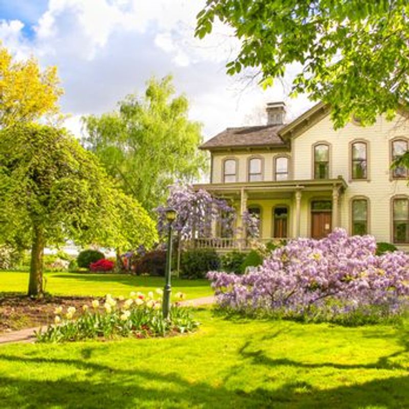 The Story Behind Bush's Pasture Park