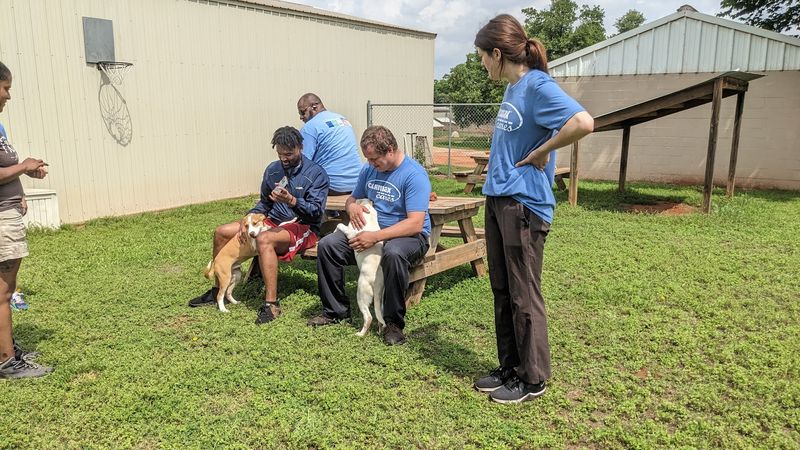 The Story Behind Free To Live Animal Sanctuary