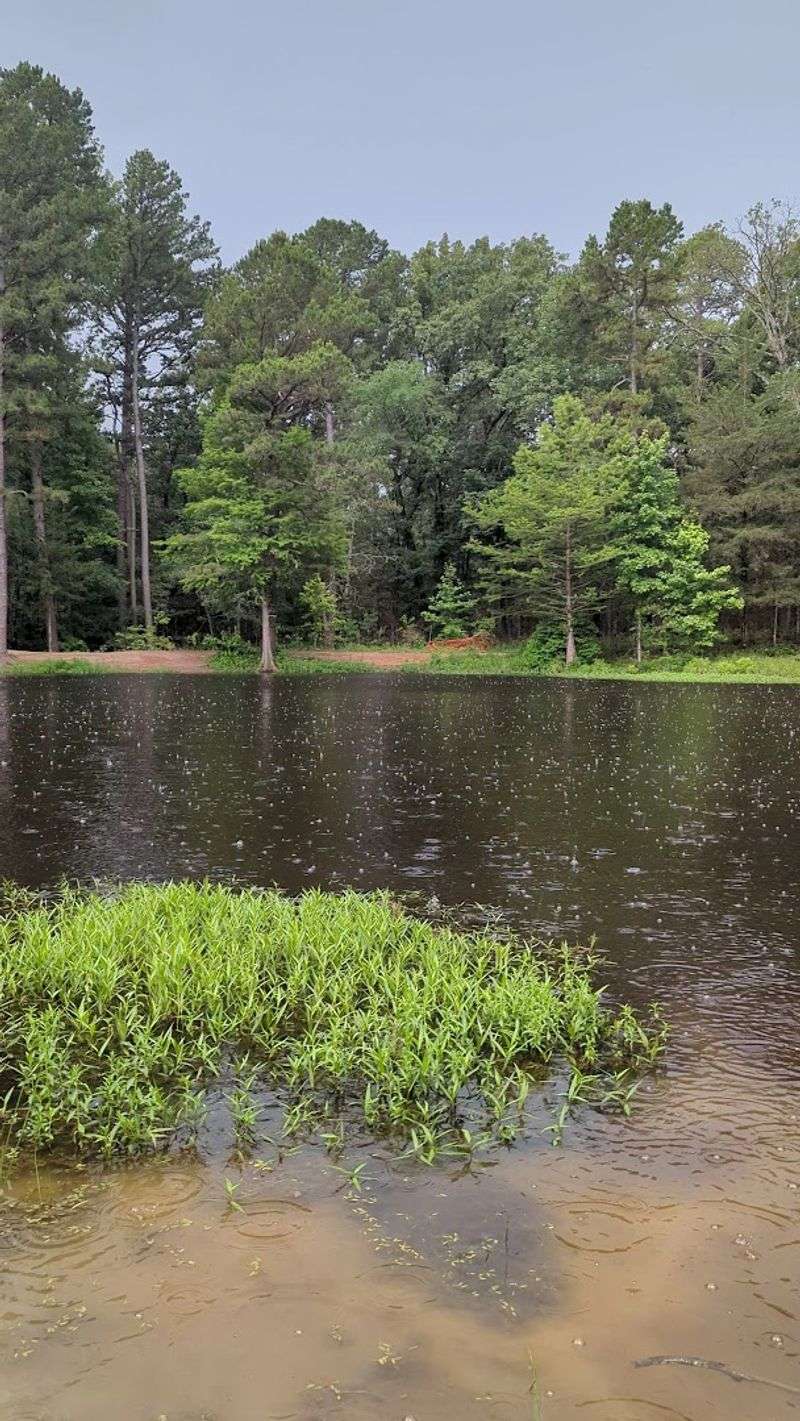 The Swimming Coves That Feel Like Your Own Private Lake